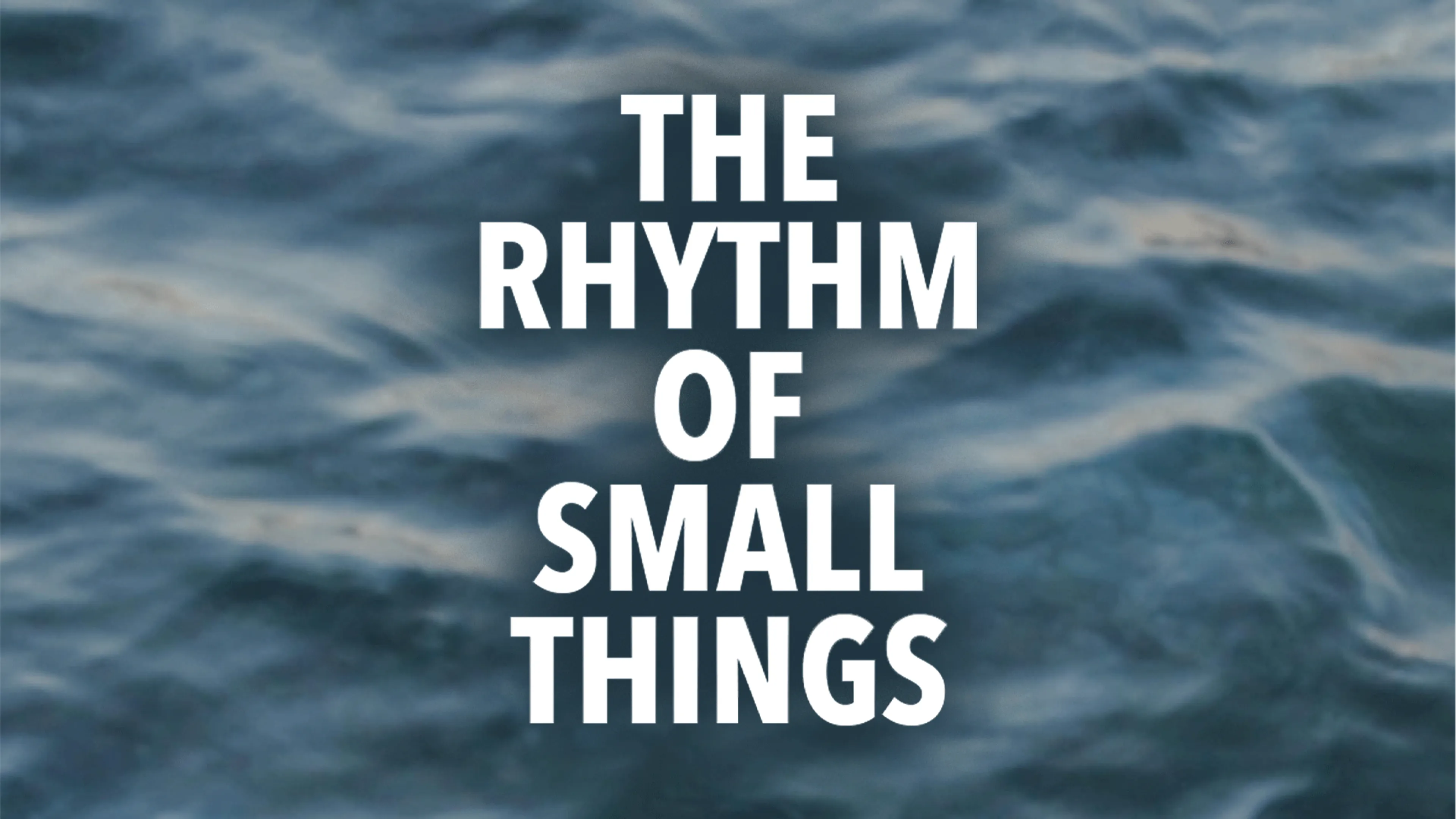 The Rhythm of Small Things poster